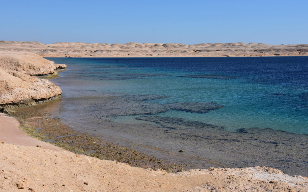 Coral Reefs and Biblical Deserts-Camping on the Red Sea in the Desert Paradise of Ras Mahammad National Park