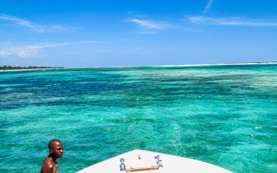 Man Eating Lions of Tsavo National Park & Scuba Diving in the Indian Ocean, Kenya