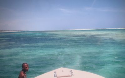 Man Eating Lions of Tsavo National Park & Scuba Diving in the Indian Ocean, Kenya