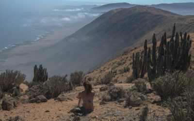 The Soaring Mountains of the Andes and Camping in the World’s Driest Desert-Atacama Desert