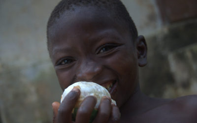 Searching for the Critically Endangered Pygmy Hippos in Tiwai Island While Trying to Avoid Corrupt Police, Sierra Leone