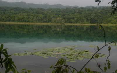 Expedition Into the Lacandon- the Largest Rainforest in Mexico-to Camp on an Island with a Buried Mayan Pyramid