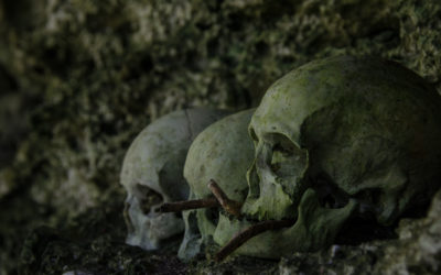 Visiting the Idyllic Jungle Villages Around the Remote Jungle Outpost of Vanimo, Papua New Guinea