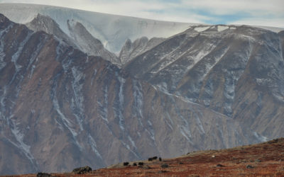 Kayaking and Hiking In Greenland’s Unknown Fjords and Mountains in the World’s Largest National Park-Northeast Greenland National Park