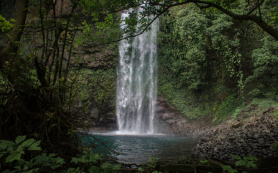 Camping for a Week with Scientists Studying Primates and Giant Leatherback Sea Turtles on Bioko Island’s Wild Southern Coast