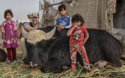 Staying with the Marsh Arabs of the Mesopotamian Marshes and Climbing the Ziggurat Sumerian Pyramid of Ancient Ur