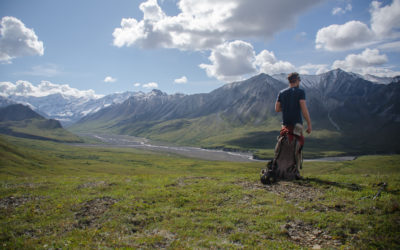 Back Country Adventures with Grizzly Bears in Denali National Park, Alaska