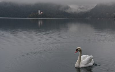 Lake Bled, Slovenia