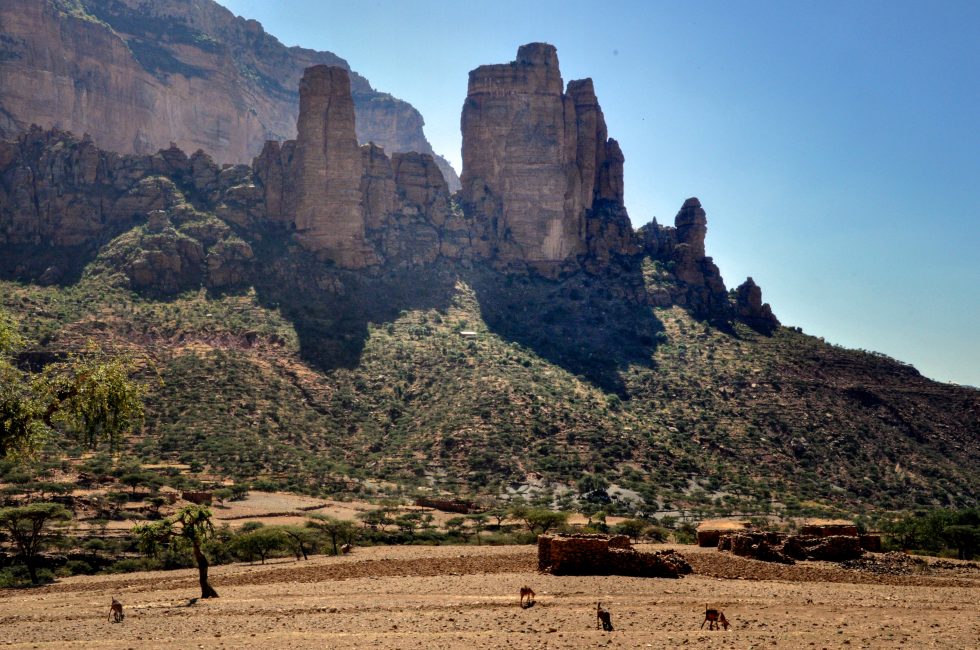 Harar Rocks Ancient Muslim City of Harar, Gelada Baboons and the Rock Hewn Churches ...