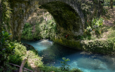 Jamaica-Beyond the All Inclusive Resorts to the Caves and Jungles of Cockpit Country