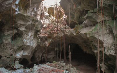 A Weekend of Exploring Caves Both Above and Under-Water in the Wild Cotubanamá National Park, Dominican Republic