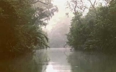Searching for the Man-Eating Tigers of the Sundarbans, World’s Largest Mangrove Forest, Bangladesh
