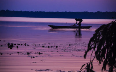 Searching for a Dinosaur Named Mokele Mbembe in the Central African Forests of Lac Tele-Republic of Congo