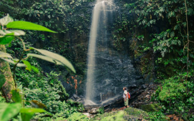New Year’s Adventure in Suriname, the Only Dutch Speaking Country of South America