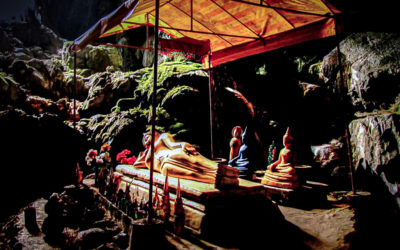 Tracking the Last of the Laotian Elephants, Laos