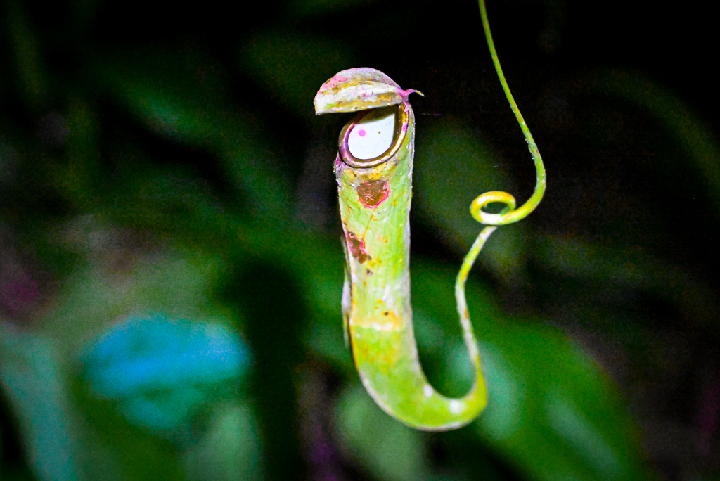 DSC_4287