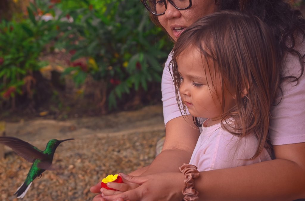 Thanksgiving in the Island Paradise of Tobago Exploring the Hidden Pirate Coves of Black Beard and Captain Morgan