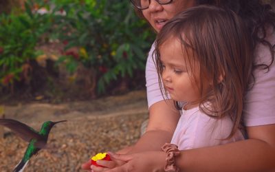 Thanksgiving in the Island Paradise of Tobago Exploring the Hidden Pirate Coves of Black Beard and Captain Morgan